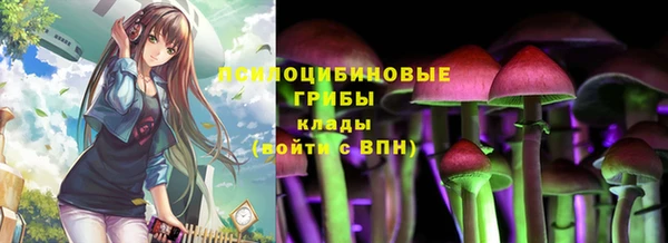 молекула духа Балахна