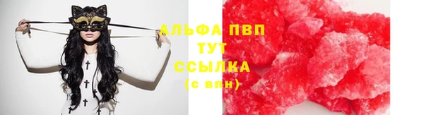 эйфоретик Баксан
