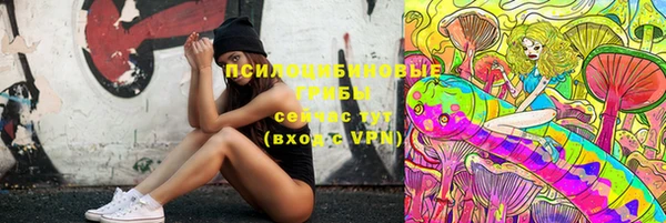 молекула духа Балахна