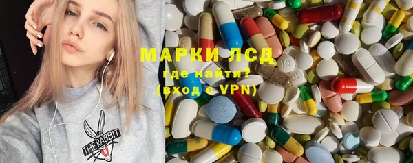 эйфоретик Баксан