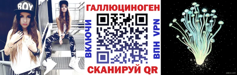 hydra ТОР  Белая Холуница  Псилоцибиновые грибы мухоморы  купить наркоту 