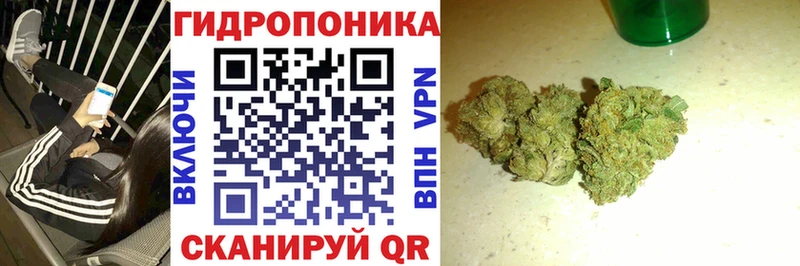 Бошки марихуана сатива  Белая Холуница 